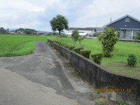IMG_1473